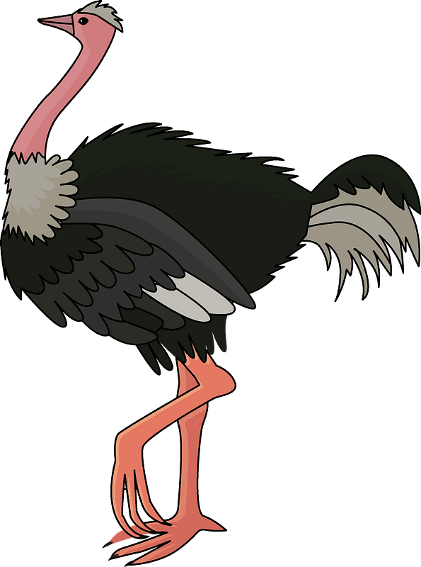 Colorful Cartoon Ostrich PNG