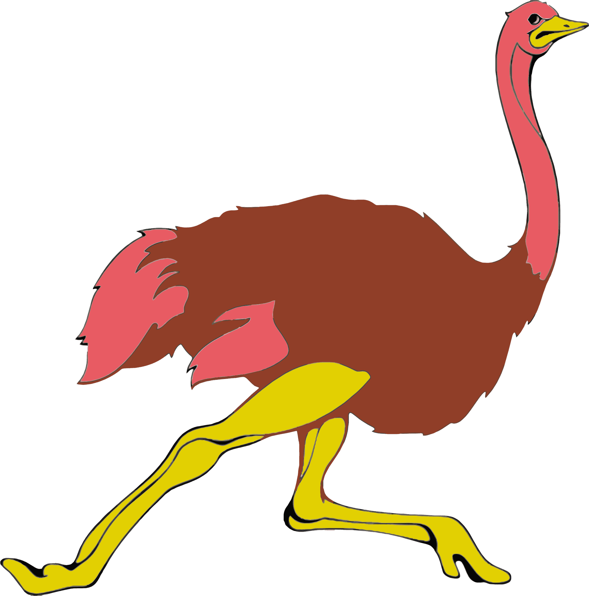 Colorful Cartoon Ostrich PNG