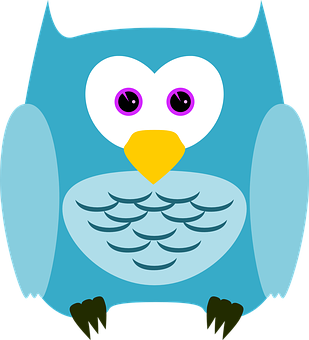 Colorful Cartoon Owl Illustration PNG