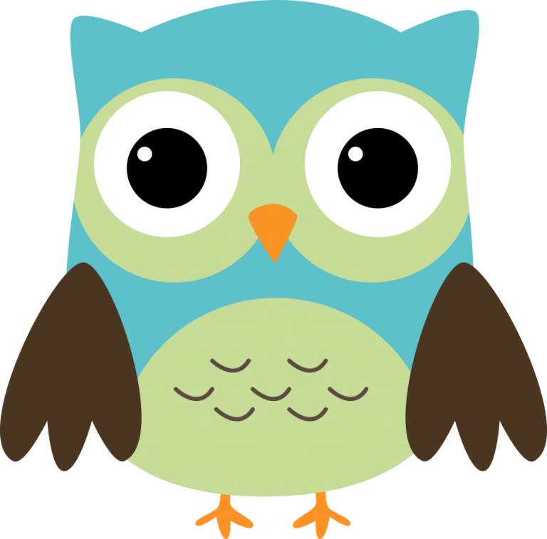 Colorful Cartoon Owl Illustration PNG