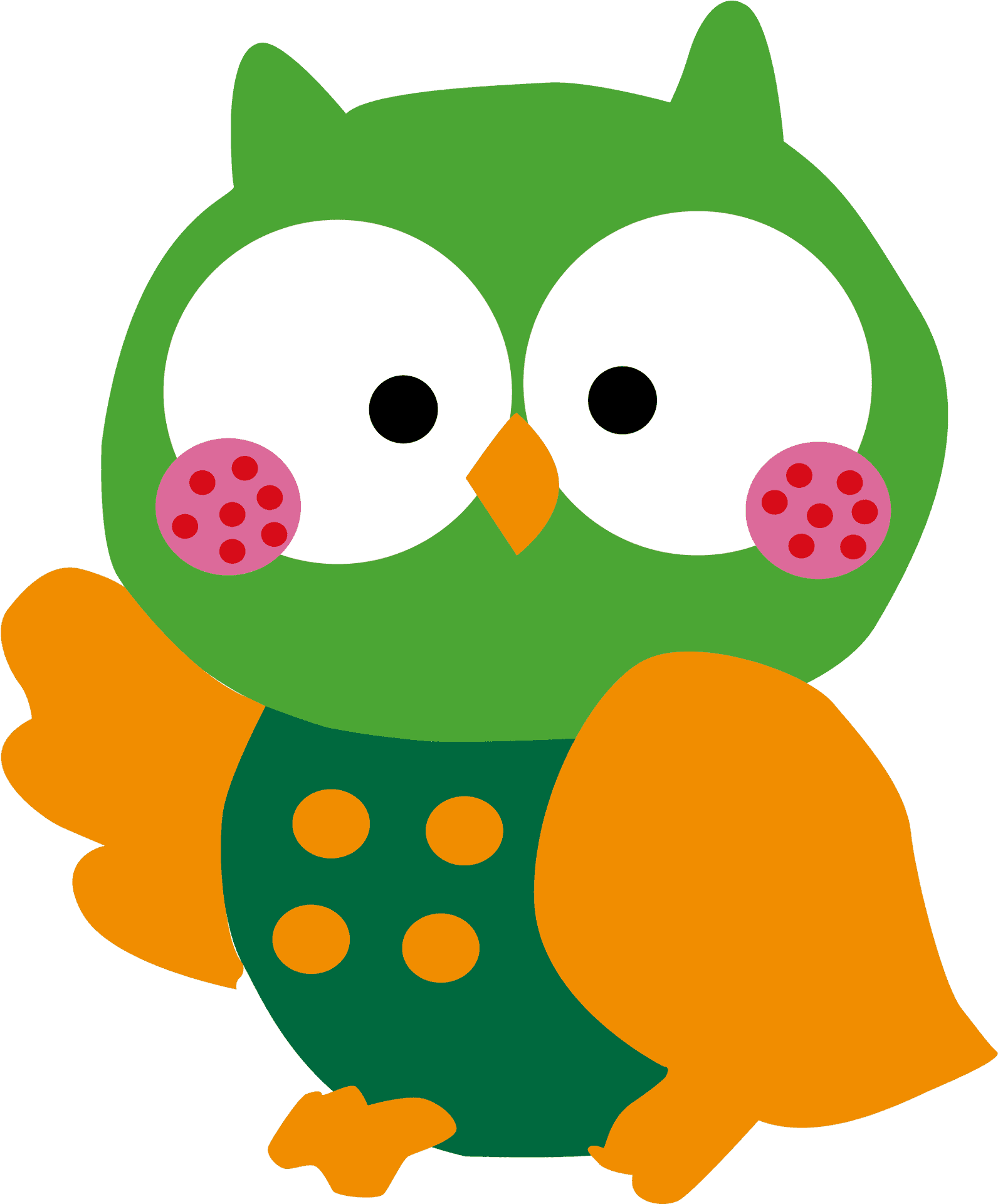 Colorful Cartoon Owl Illustration PNG