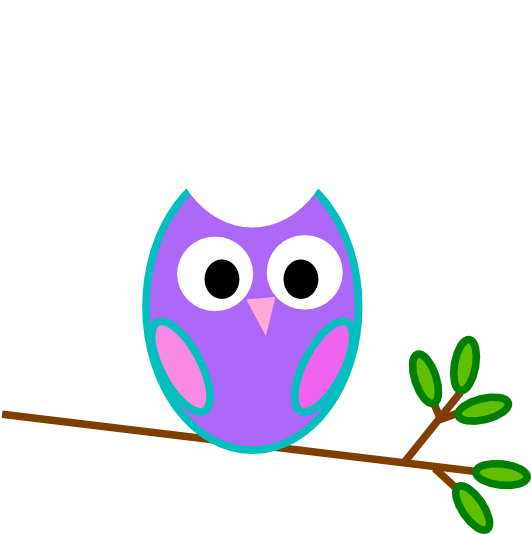 Colorful Cartoon Owlon Branch PNG