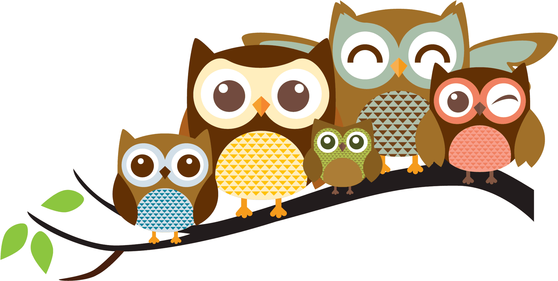 Colorful Cartoon Owls Branch PNG