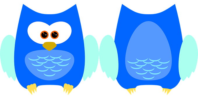 Colorful Cartoon Owls Illustration PNG