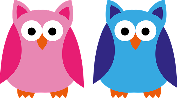 Colorful Cartoon Owls Illustration PNG