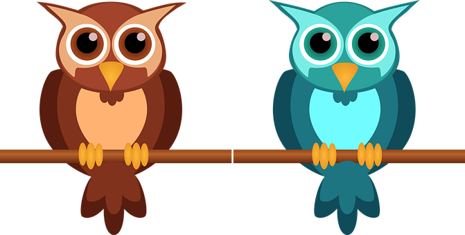 Colorful Cartoon Owls Perching PNG