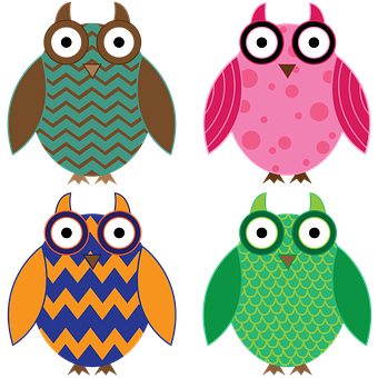 Colorful Cartoon Owls Vector Illustration PNG