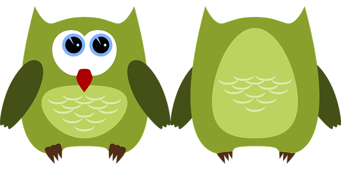 Colorful Cartoon Owls PNG