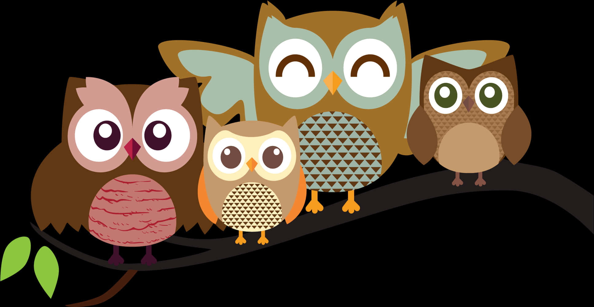 Colorful Cartoon Owlson Branch PNG