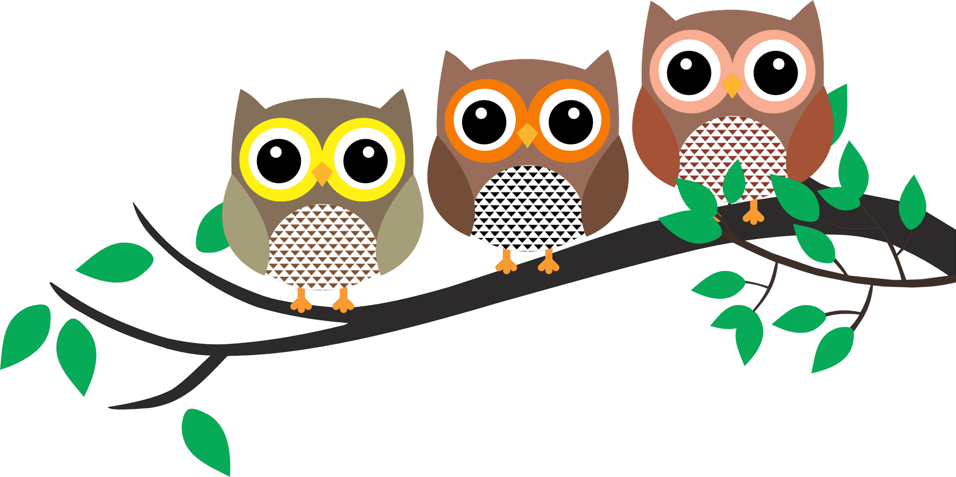 Colorful Cartoon Owlson Branch PNG