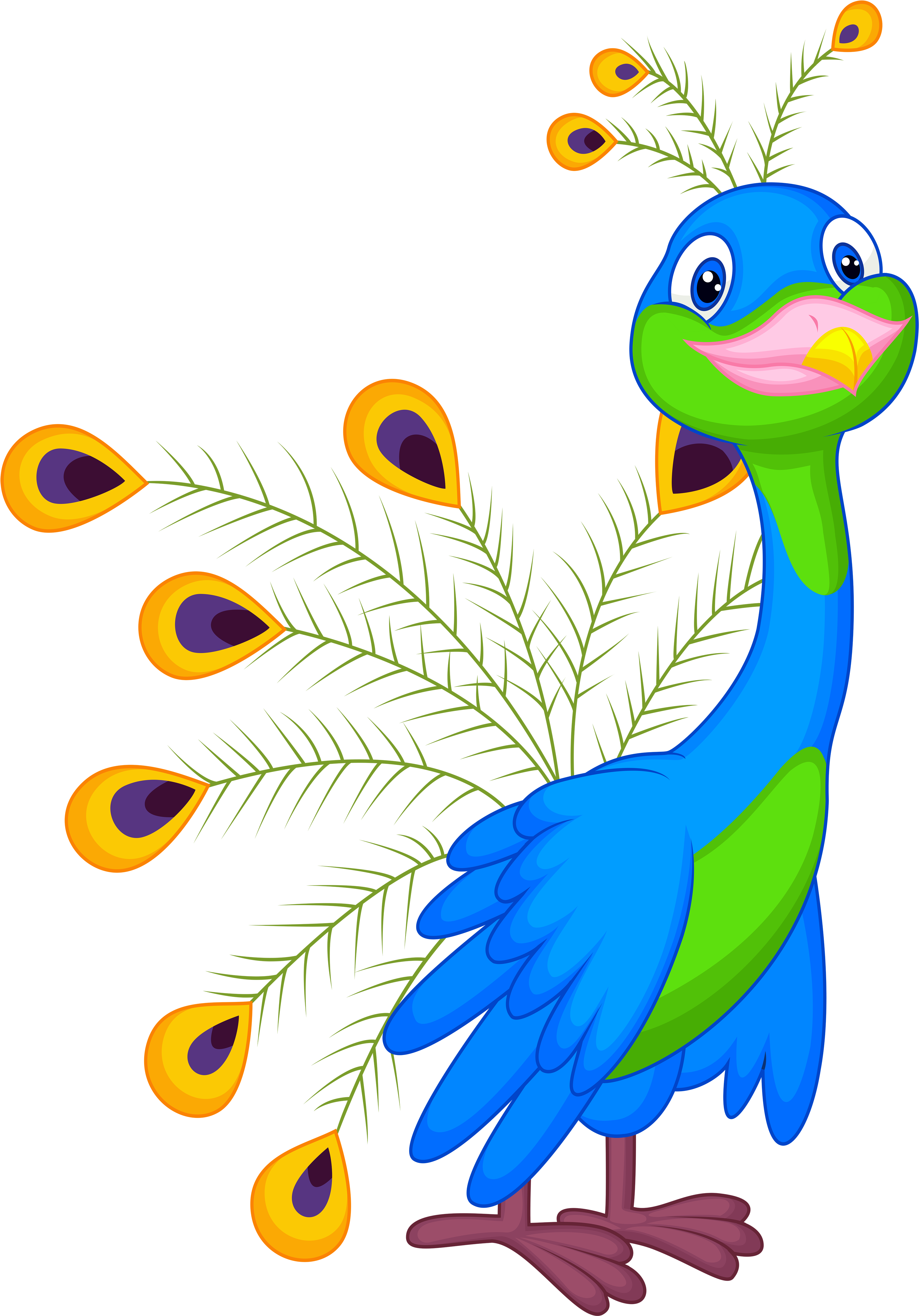 Colorful Cartoon Peacock PNG