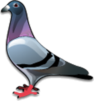 Colorful Cartoon Pigeon PNG
