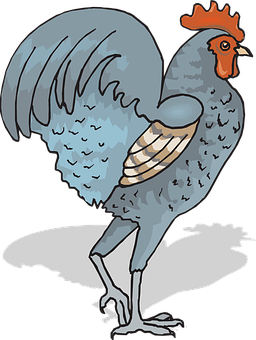 Colorful Cartoon Rooster Illustration PNG