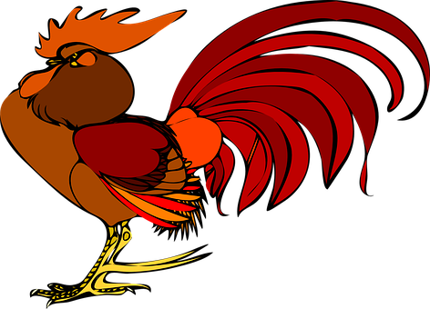 Colorful Cartoon Rooster Illustration PNG