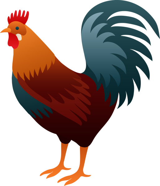 Colorful Cartoon Rooster Illustration PNG