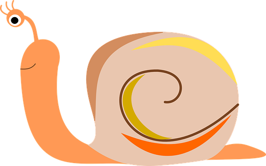 Colorful Cartoon Snail PNG