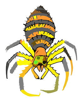 Colorful Cartoon Spider PNG