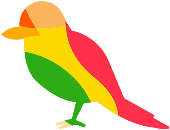 Colorful Cartoon Woodpecker PNG