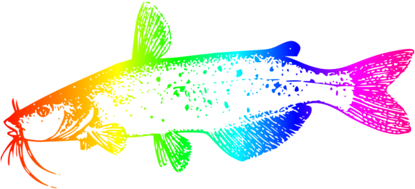 Colorful Catfish Illustration PNG