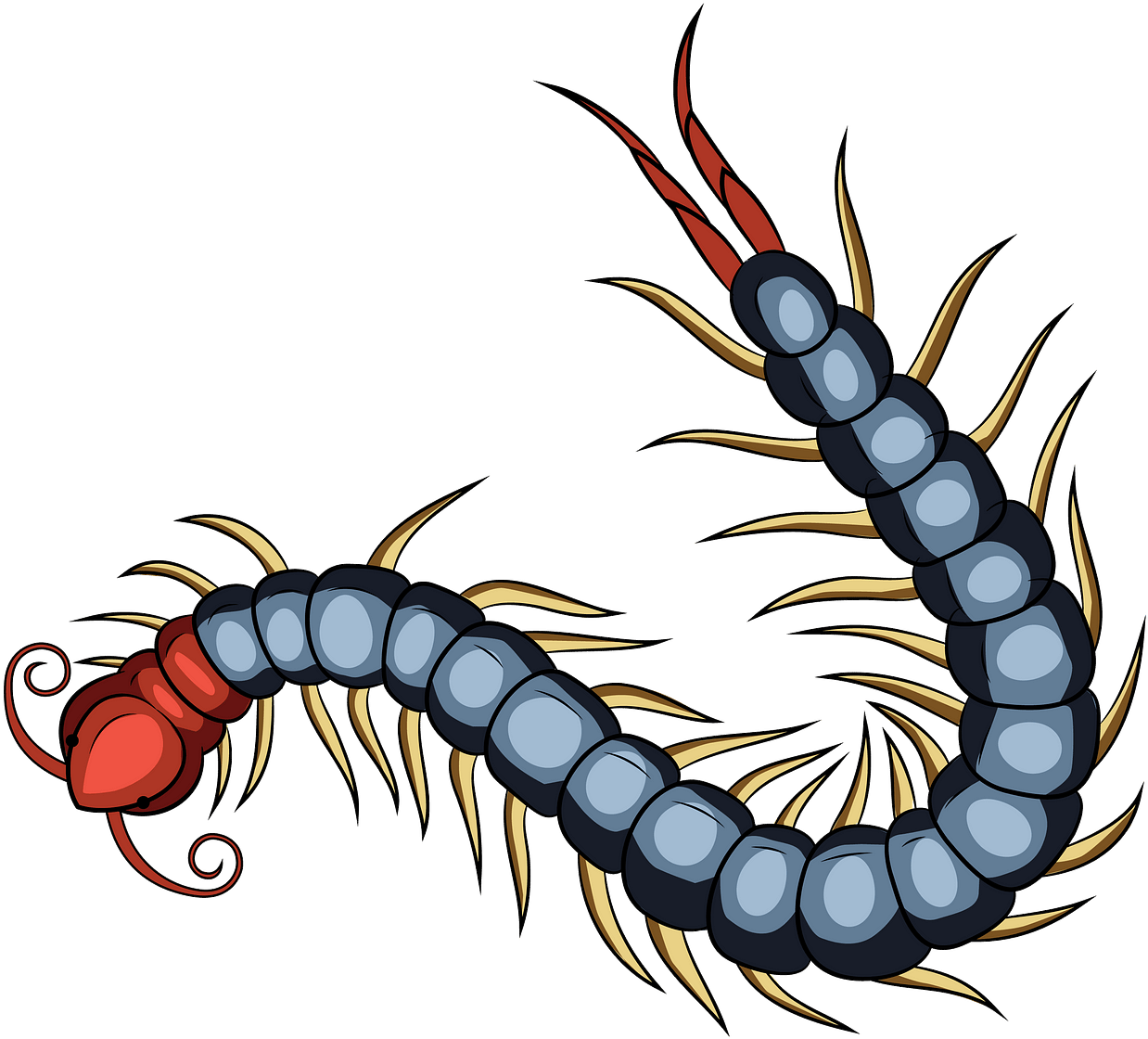 Colorful Centipede Illustration PNG