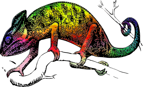 Colorful Chameleon Artwork PNG