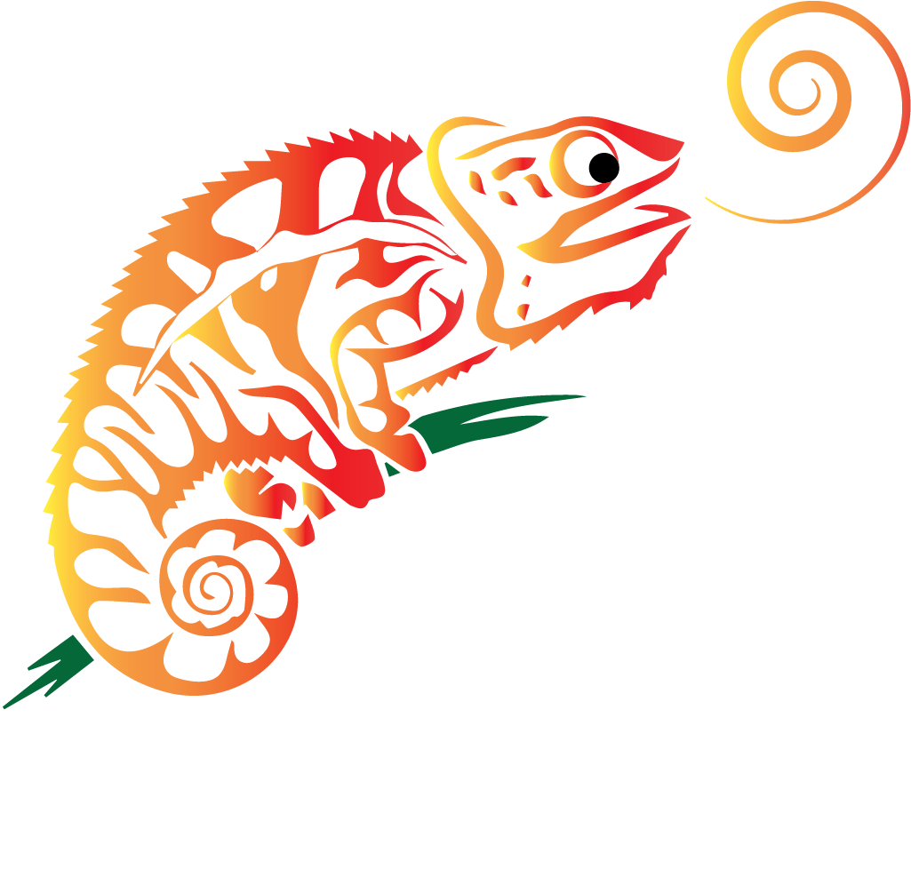 Colorful Chameleon Graphic Logo PNG
