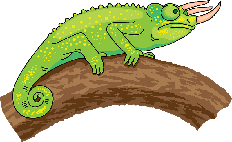 Colorful Chameleon Illustration PNG