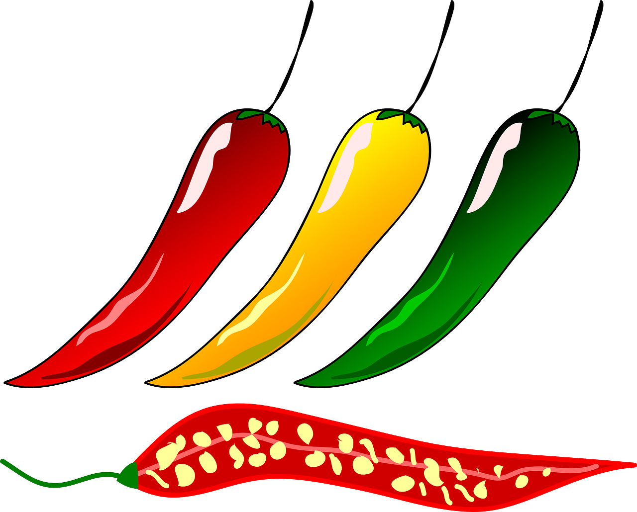 Colorful Chili Peppers Illustration PNG