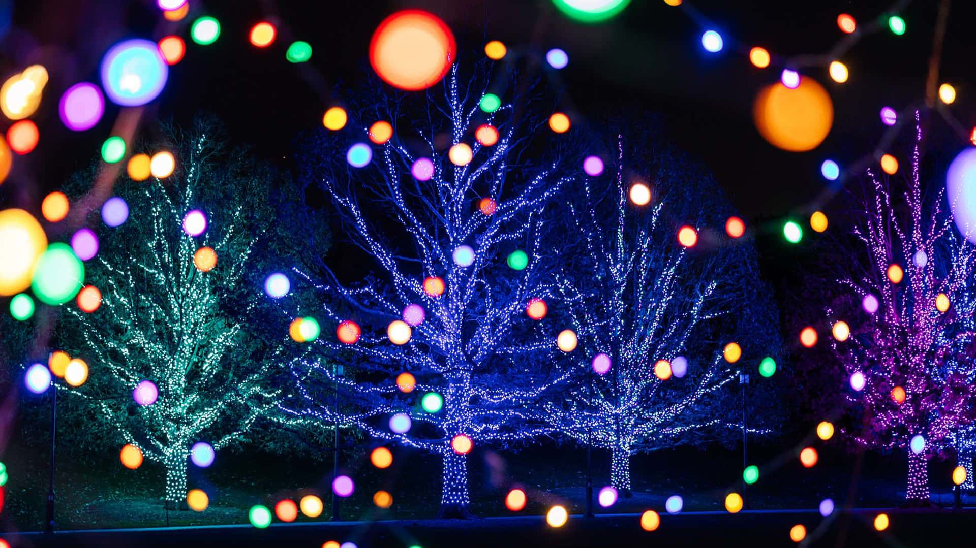Colorful Christmas Lights Display Wallpaper