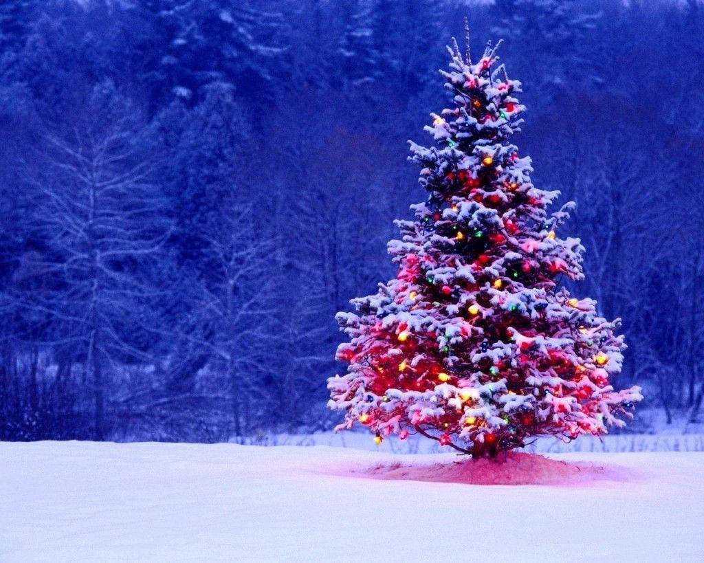 Colorful Christmas Tree On Blue Forest