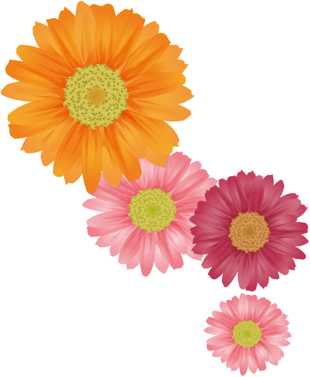 Download Colorful Chrysanthemums Illustration | Wallpapers.com