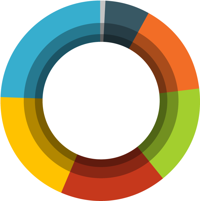 Colorful Circular Infographic Chart PNG
