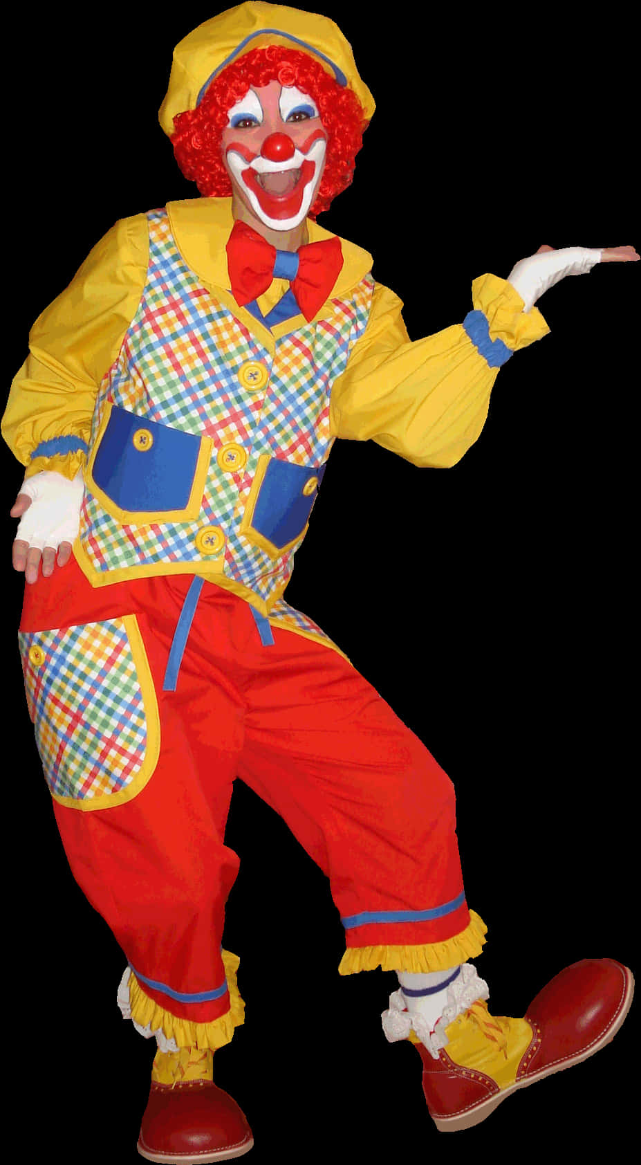 Colorful Clown Pose.jpg PNG