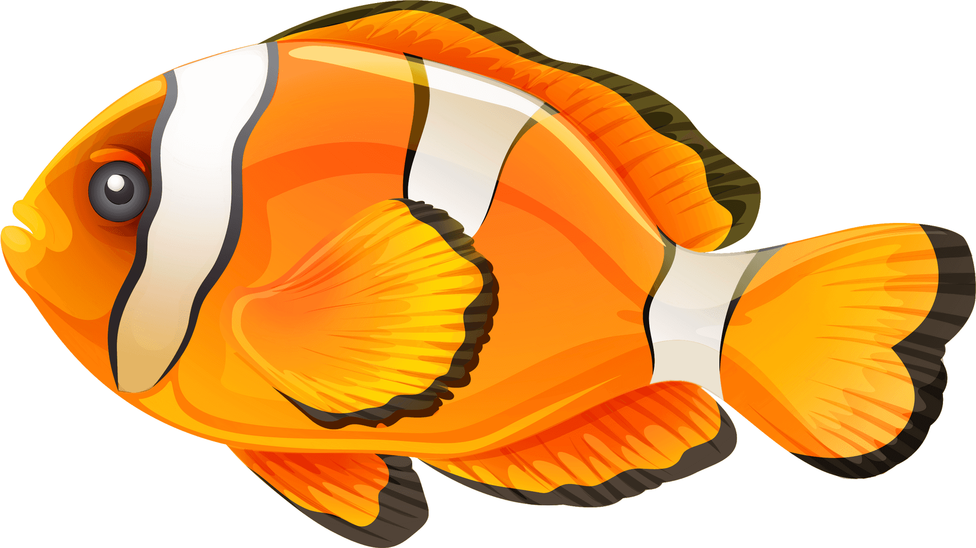 Colorful Clownfish Illustration PNG