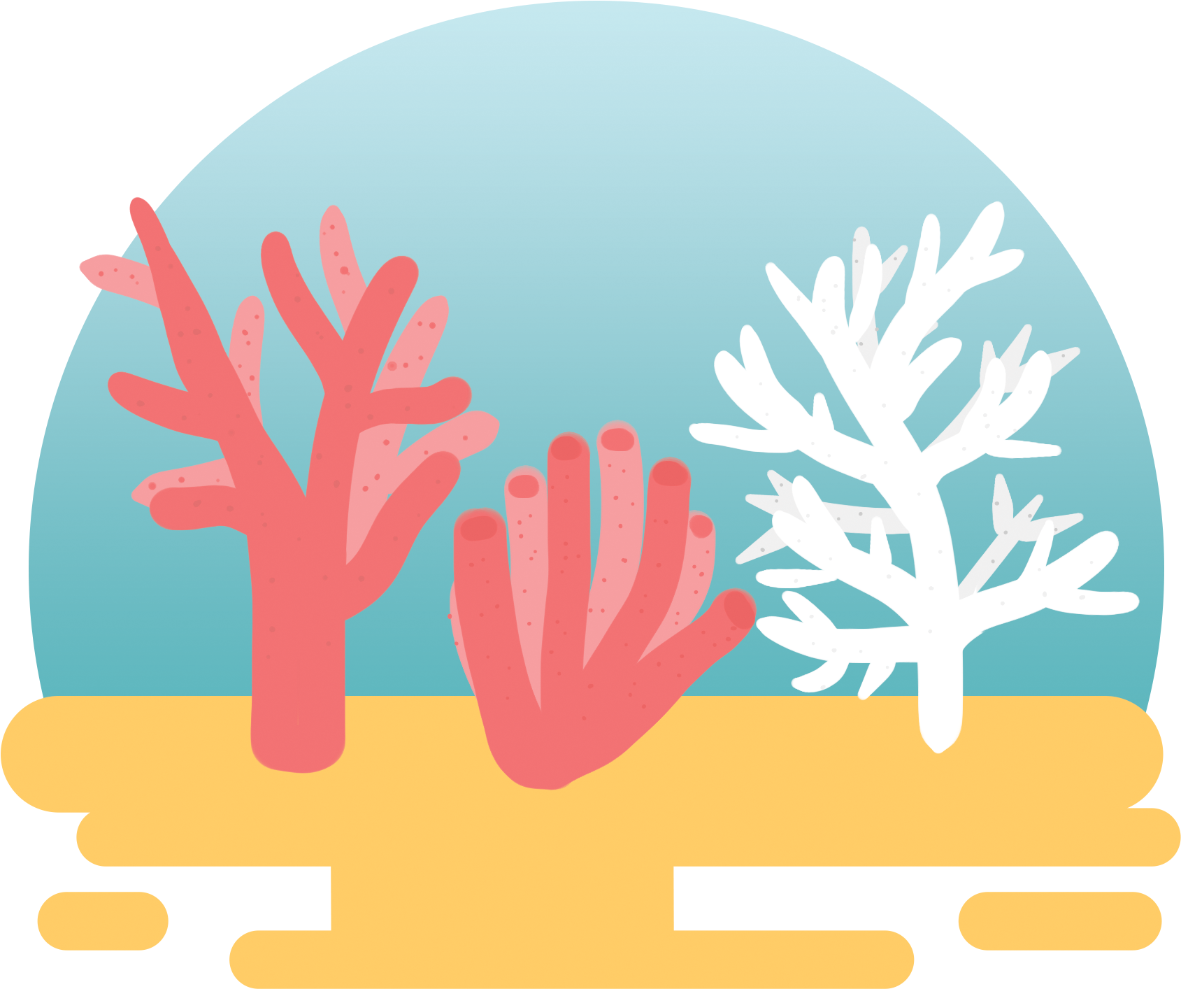Colorful Coral Illustration PNG