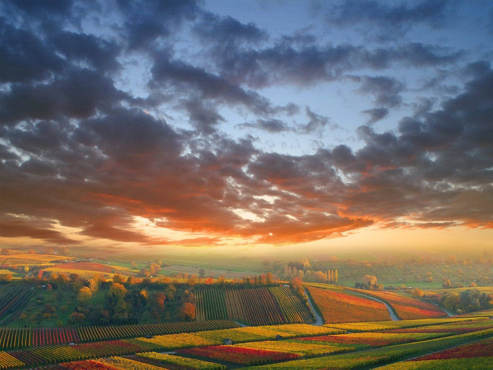 Colorful Country Fields In Autumn Background