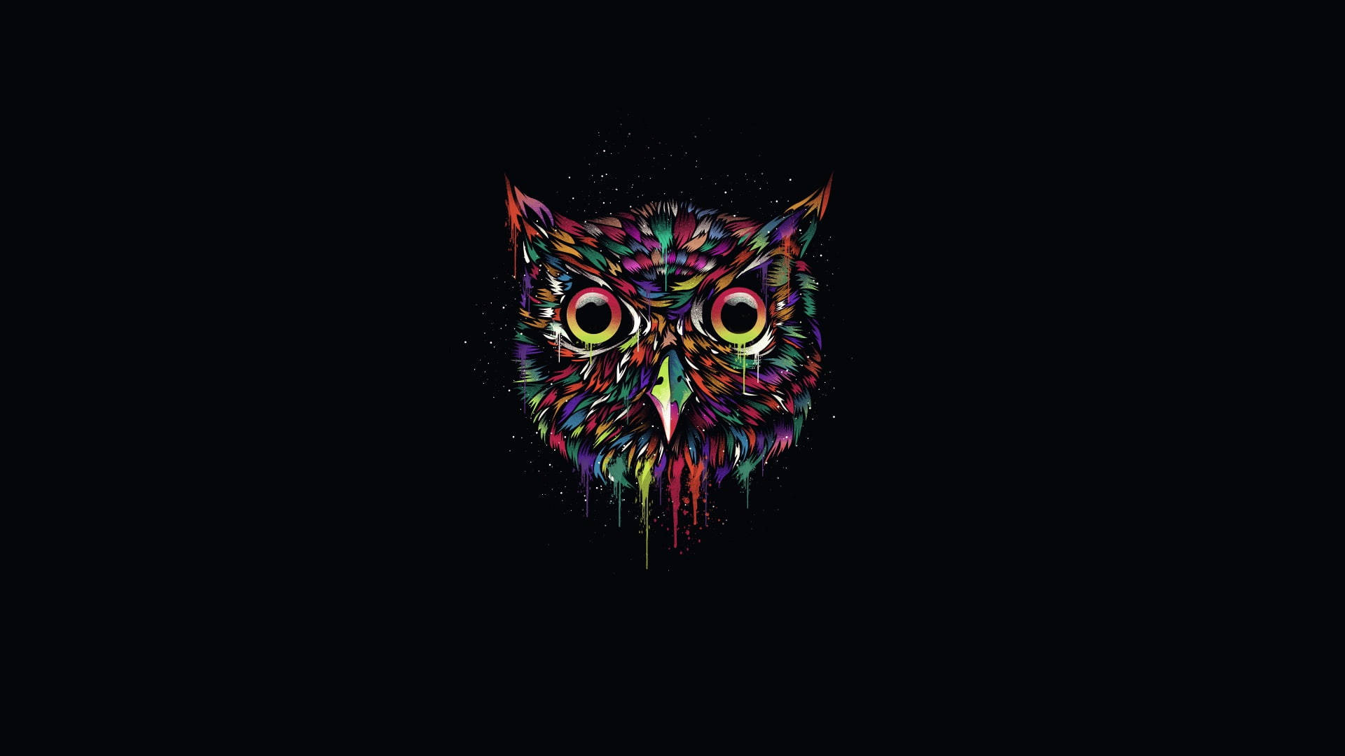 Colorful Creative Owl Art Wallpaper