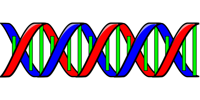 Colorful D N A Double Helix Illustration PNG