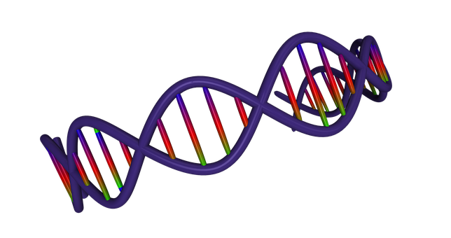 Colorful D N A Double Helix Structure PNG