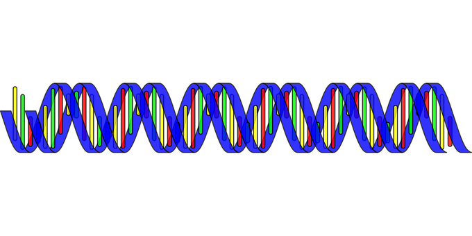 Colorful D N A Double Helix Structure PNG