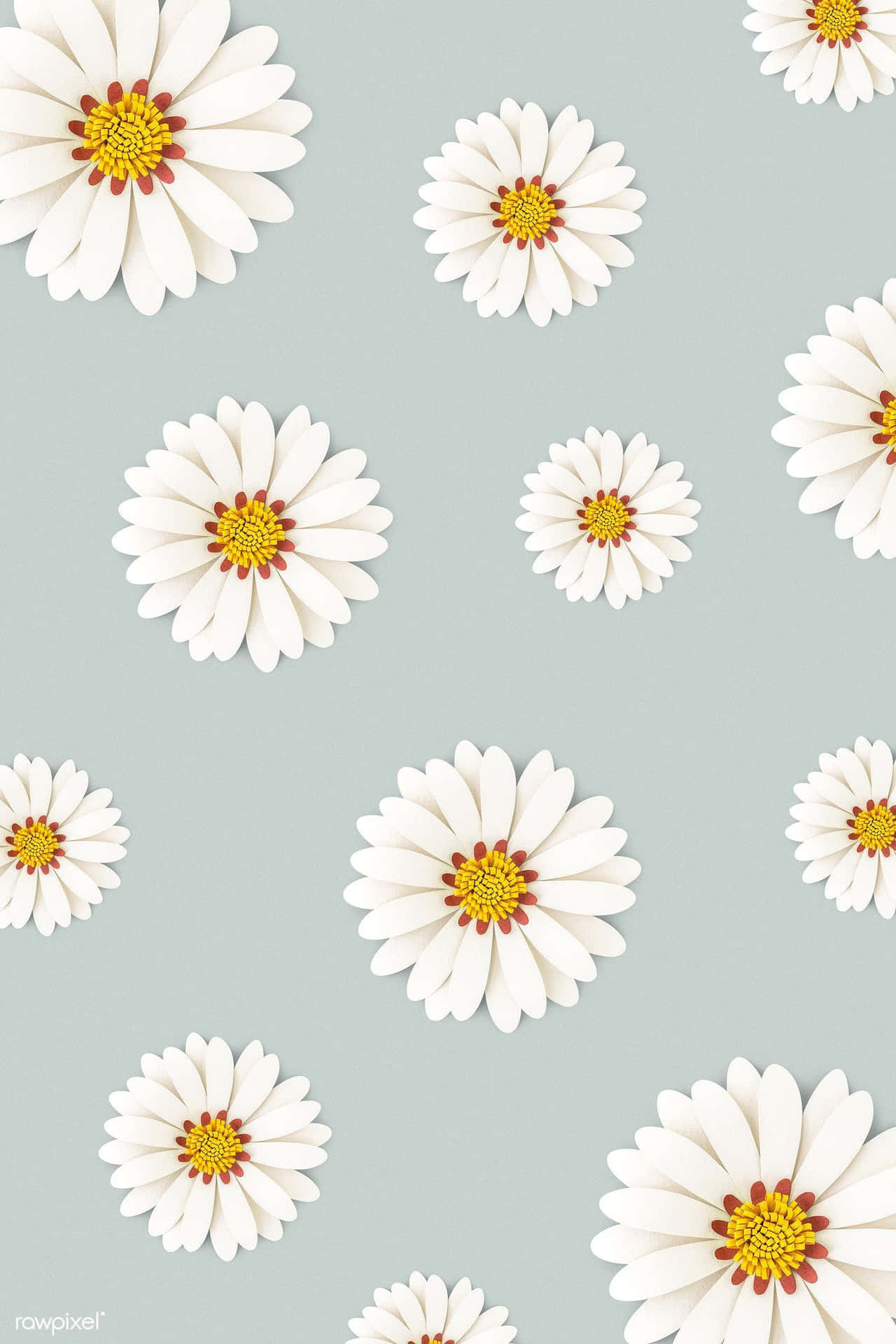 Pattern Colorful Daisies Wallpaper