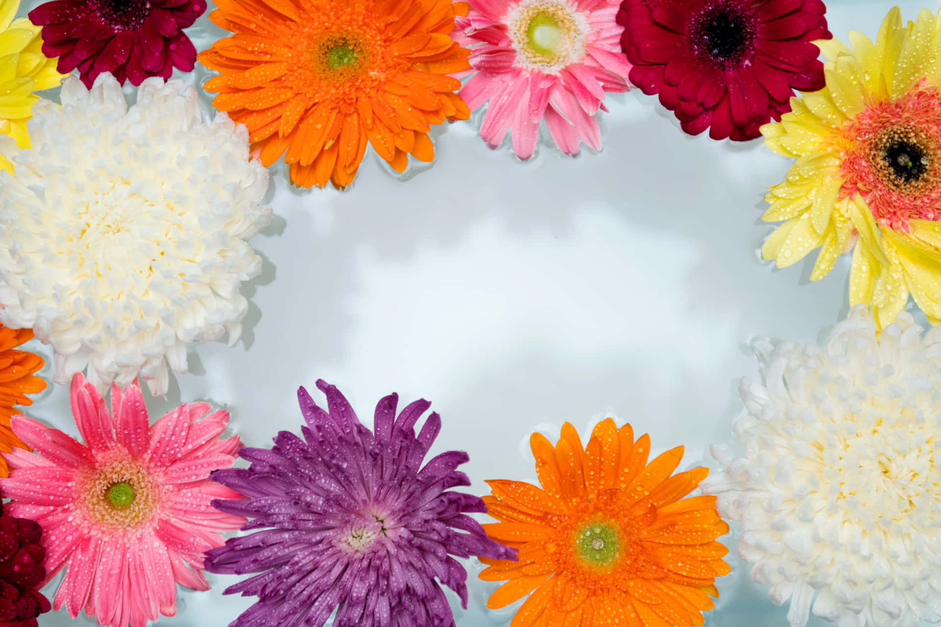 En masse farverige blomster er arrangeret i en cirkel Wallpaper