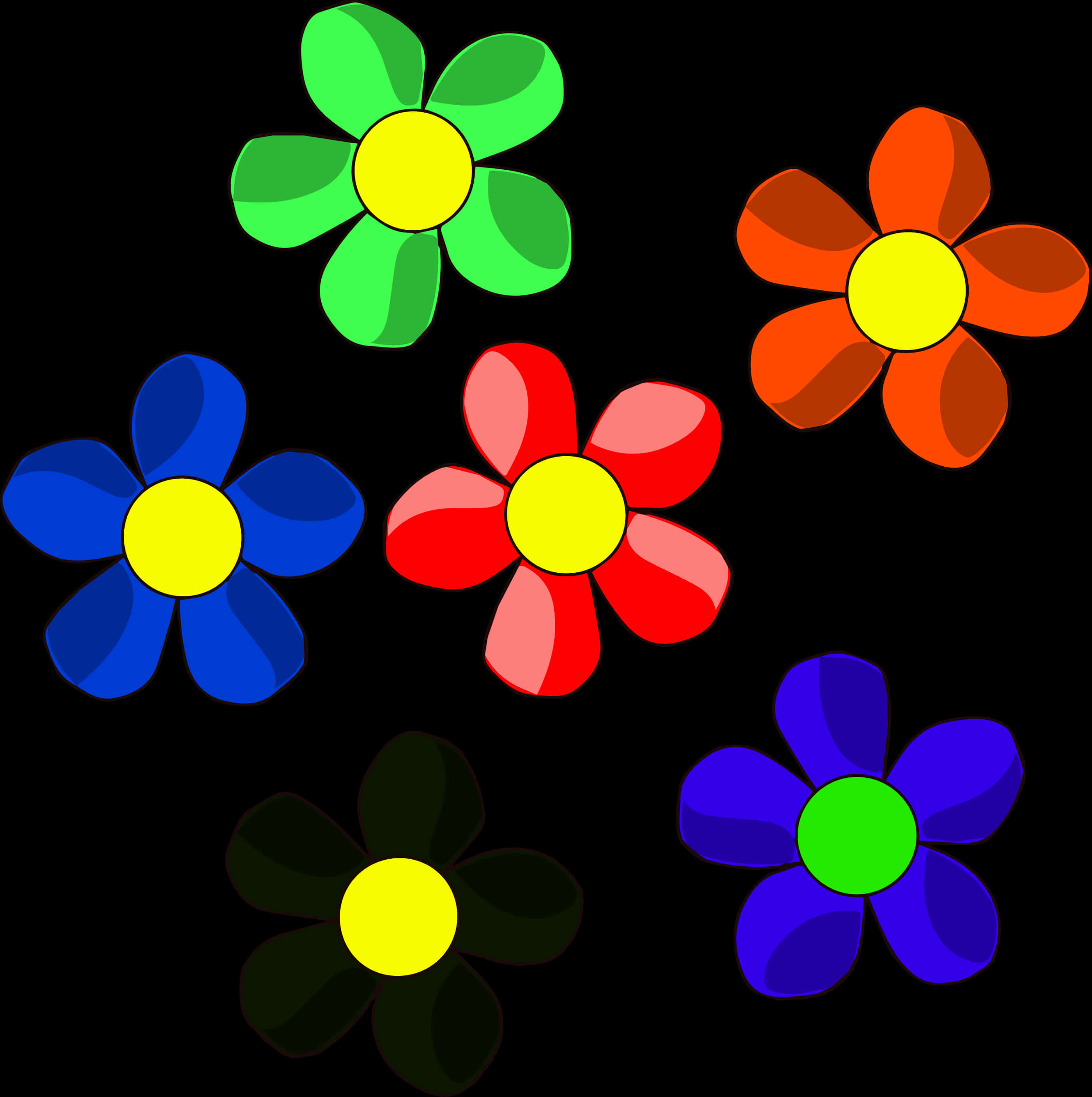Colorful Daisy Flowers Vector Illustration PNG
