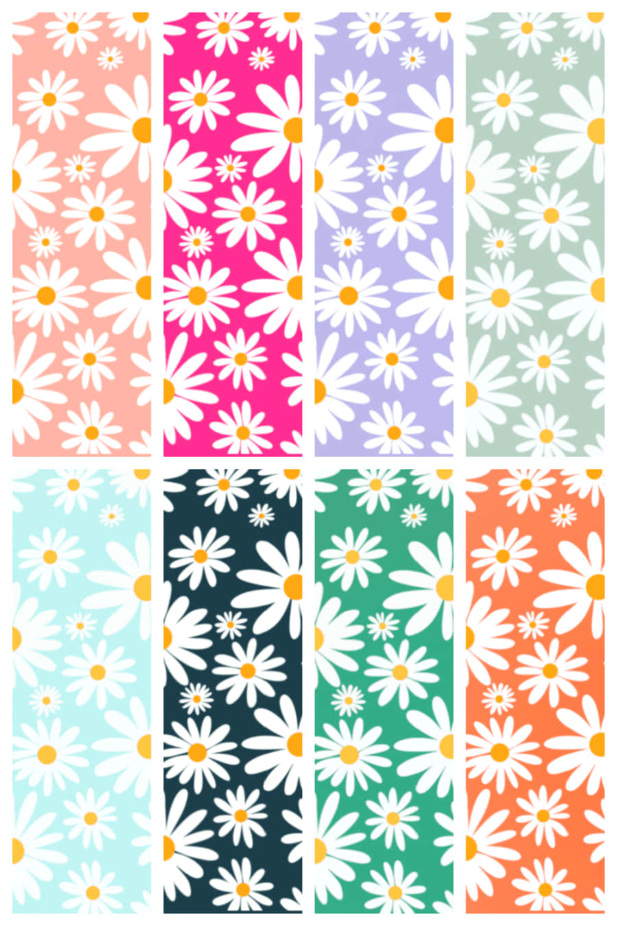 Colorful Daisy Patterns Collection Wallpaper