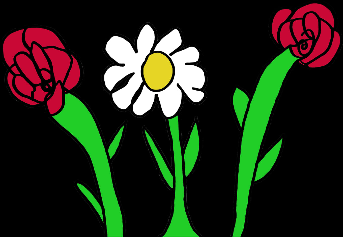 Colorful Daisyand Roses Illustration PNG