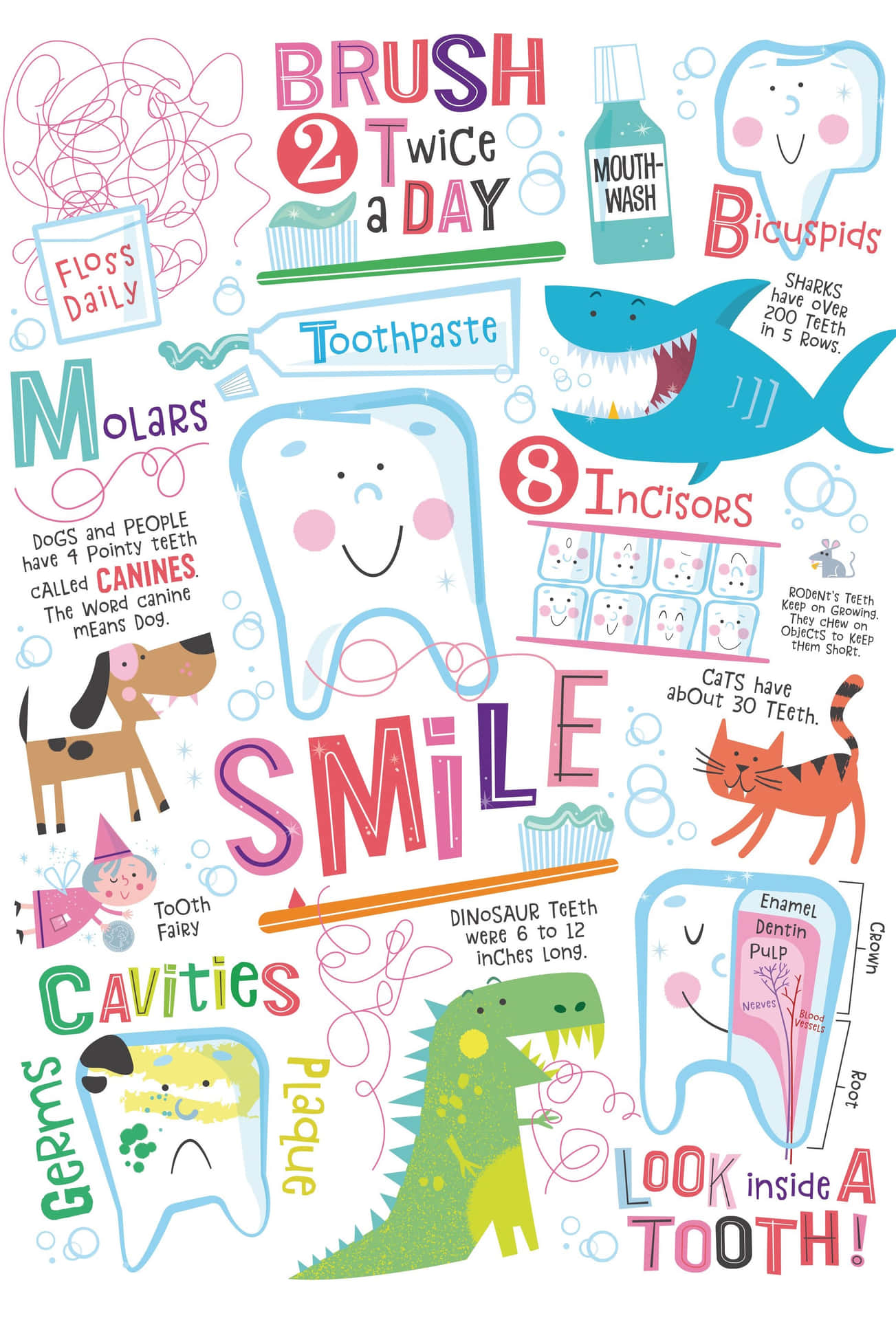 Colorful Dental Education Posterfor Kids Wallpaper