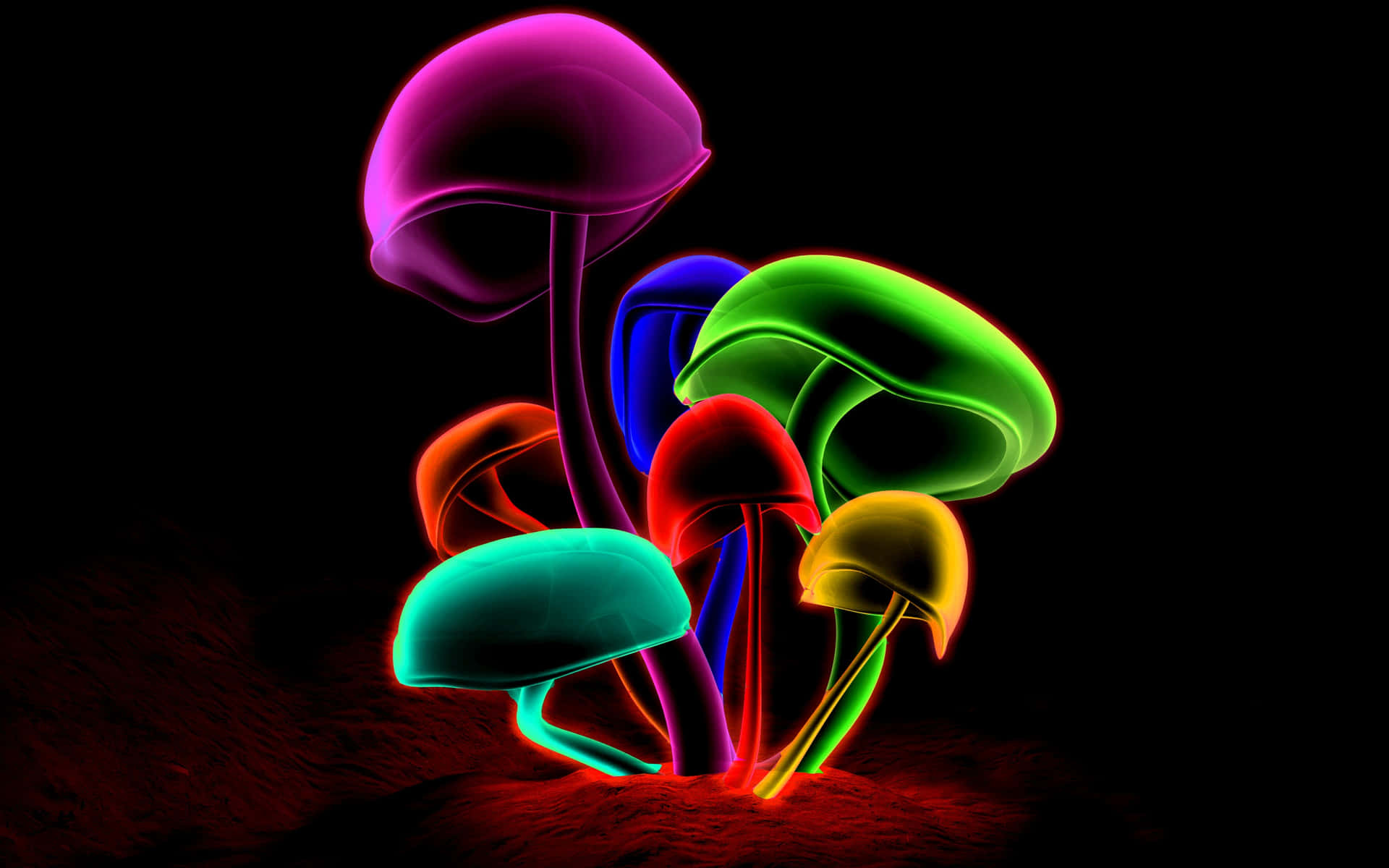 A Colorful Mushroom In The Dark Wallpaper