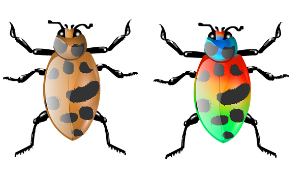 Colorful Digital Beetles Illustration PNG