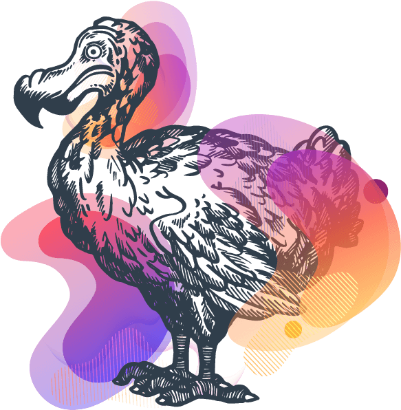 Colorful Dodo Artwork PNG