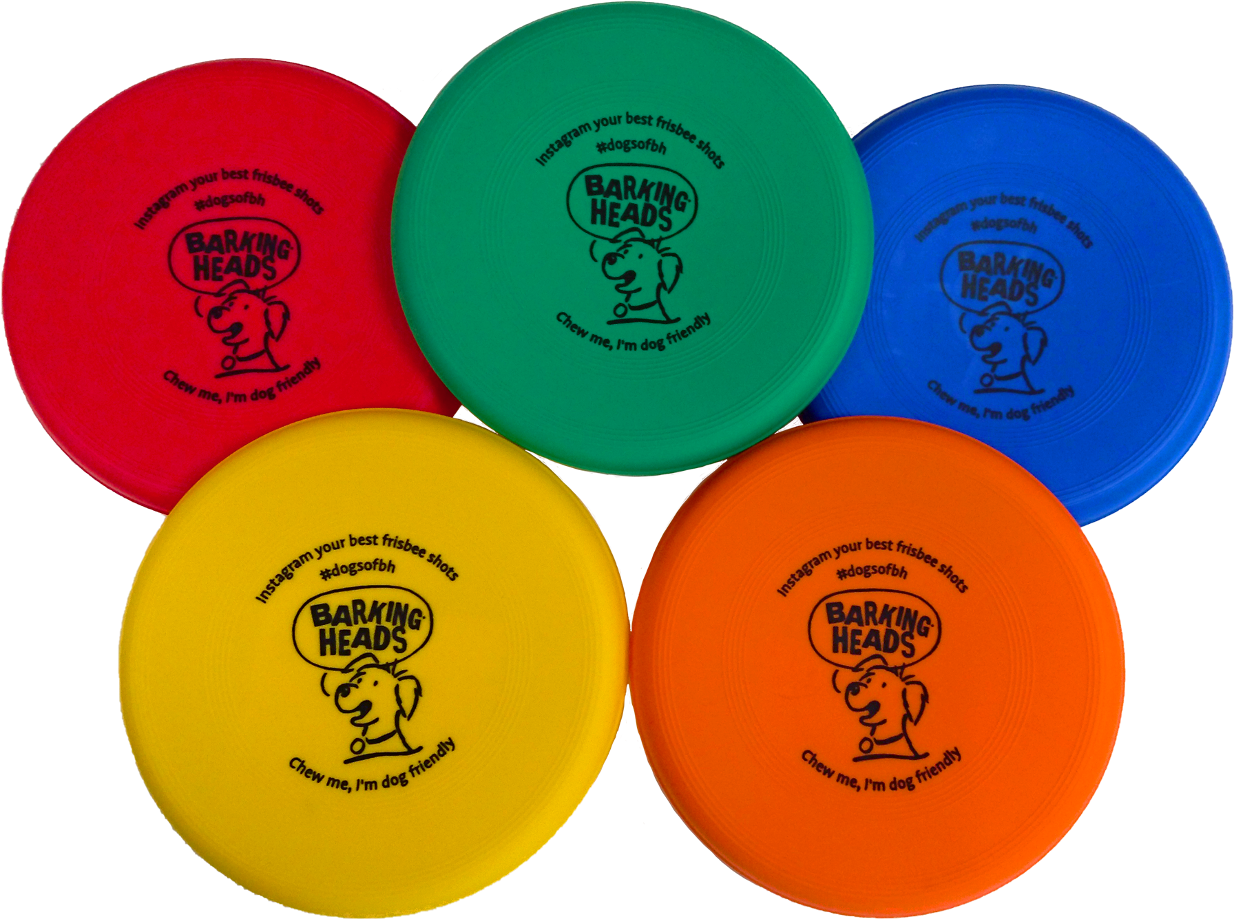 Colorful Dog Friendly Frisbees PNG